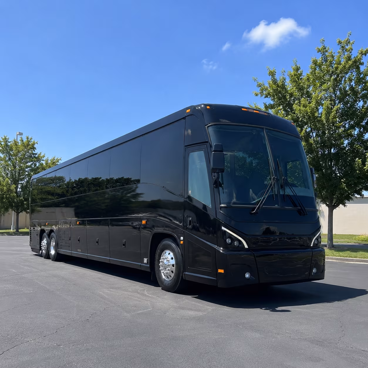 your va and veteran group transportation between redwood city and palo alto